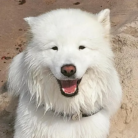 Strefa Apartamentowe *